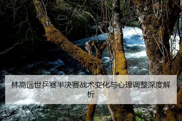 林高远世乒赛半决赛战术变化与心理调整深度解析