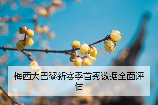 mei-xi-da-ba-li-xin-sai-ji-shou-xiu-shu-ju-quan-mian-ping-gu-2-821.jpg