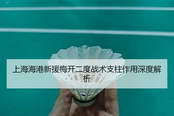 上海海港新援梅开二度战术支柱作用深度解析